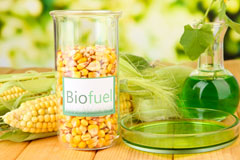 Riggs biofuel availability